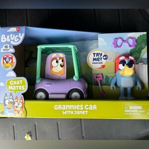Bluey Grannies Car with Janet chat mates